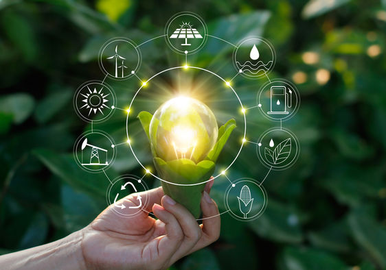 Eco-Friendly Innovations Shaping a Sustainable Future